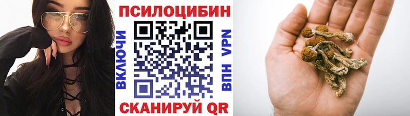blacksprut онион Ардатов Галлюциногенные грибы GOLDEN TEACHER закладка